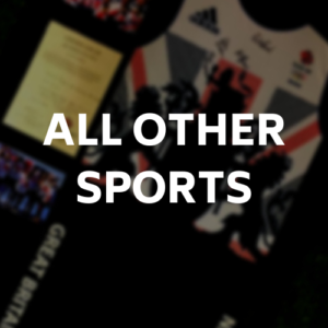 All other sports framing tile and link