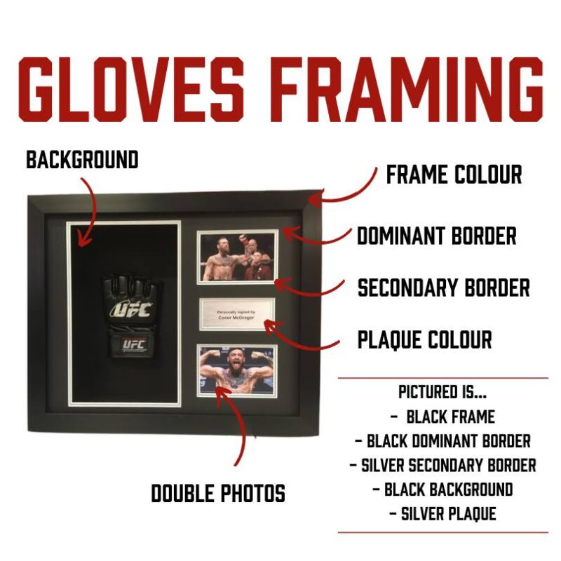 3D Double UFC Mitt Framing - Image 2